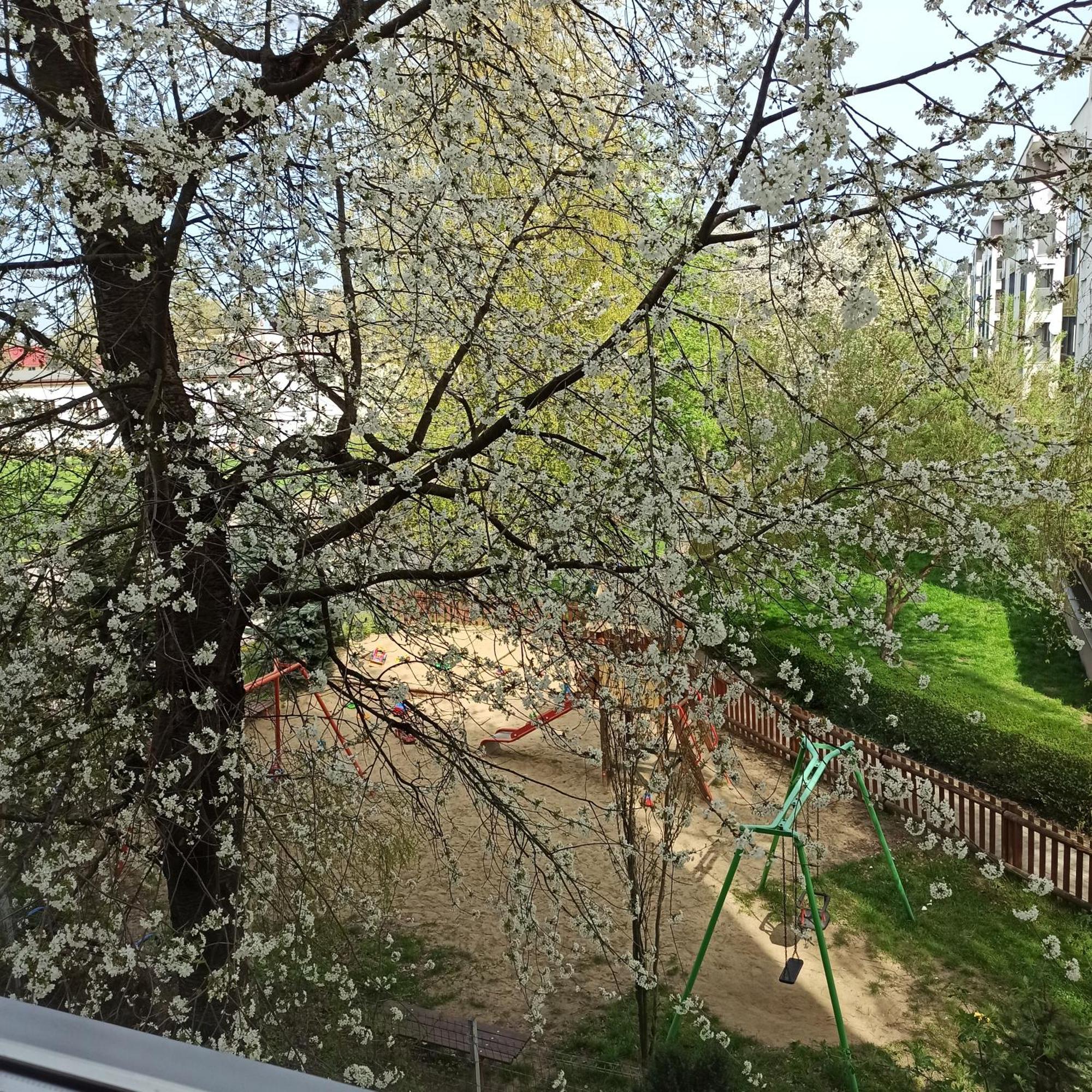Apartament Dunikowskiego 57M2 루블린 외부 사진